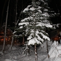 2010.12.24-108.JPG