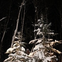 2010.12.24-114.JPG