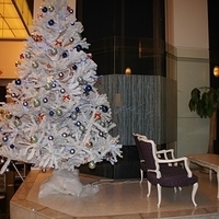 2010.12.25-175.JPG