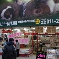 2010.12.26-048.JPG