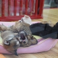 2010.12.26-049.JPG