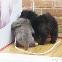 2010.12.26-050.JPG