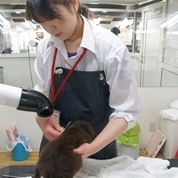 2010.12.26-055.JPG