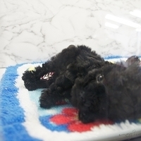 2010.12.26-058.JPG