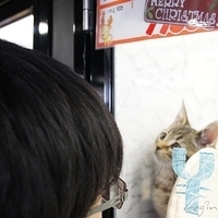 2010.12.26-059.JPG