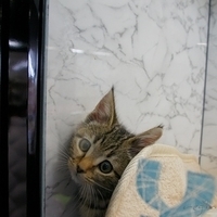 2010.12.26-061.JPG