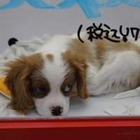 2010.12.26-062.JPG