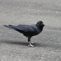 2010.12.26-095.JPG