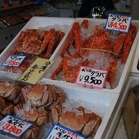 2010.12.26-108.JPG