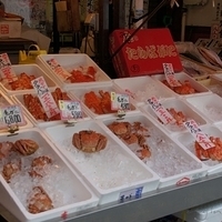 2010.12.26-118.JPG