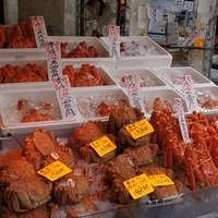 2010.12.26-120.JPG