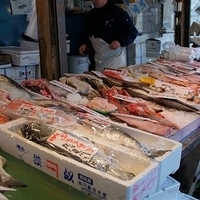 2010.12.26-123.JPG