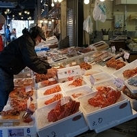 2010.12.26-124.JPG