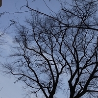2010.12.26-140.JPG