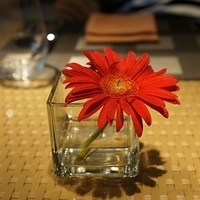 2010.10.10-080.JPG