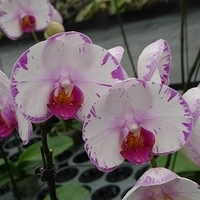 2010.10.07-001.JPG