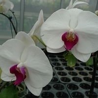 2010.10.07-002.JPG