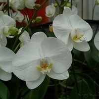 2010.10.07-003.JPG