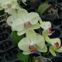 2010.10.07-004.JPG
