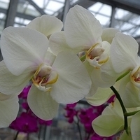 2010.10.07-005.JPG