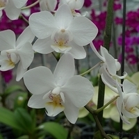 2010.10.07-007.JPG
