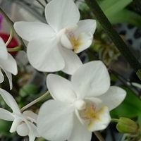 2010.10.07-008.JPG