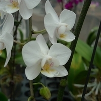 2010.10.07-009.JPG