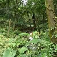 2010.03.01-017.JPG