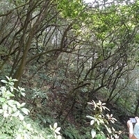 2010.03.01-018.JPG