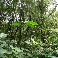 2010.03.01-019.JPG