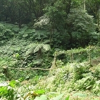 2010.03.01-021.JPG