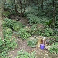 2010.03.01-023.JPG