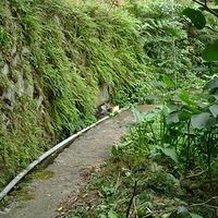 2010.03.01-025.JPG