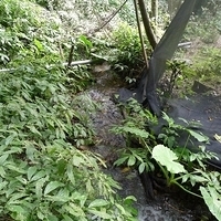 2010.03.01-027.JPG