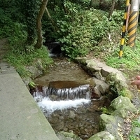 2010.03.01-029.JPG