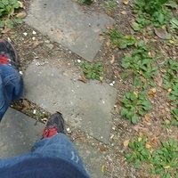 2010.03.01-030.JPG