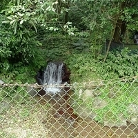 2010.03.01-031.JPG