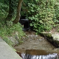 2010.03.01-032.JPG