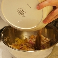 2010.01.13-mdm-022.JPG