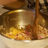 2010.01.13-mdm-023.JPG