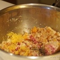 2010.01.13-mdm-024.JPG