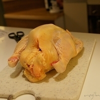 2010.01.13-mdm-030.JPG