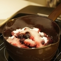 2010.01.13-mdm-052.JPG