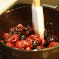 2010.01.13-mdm-053.JPG