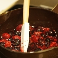 2010.01.13-mdm-054.JPG