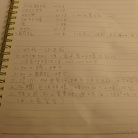 2010.01.13-mdm-057.JPG