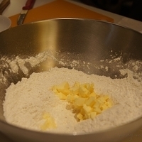 2010.01.13-mdm-072.JPG