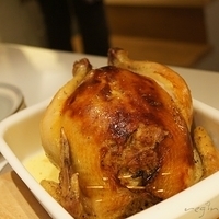 2010.01.13-mdm-101.JPG