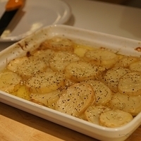 2010.01.13-mdm-104.JPG