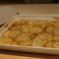 2010.01.13-mdm-105.JPG